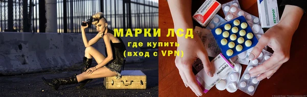 индика Верхний Тагил