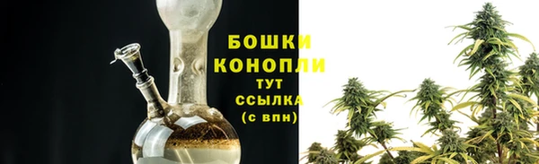 индика Верхний Тагил