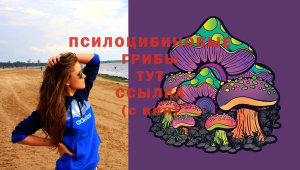 спиды Волосово