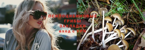 mdpv Володарск