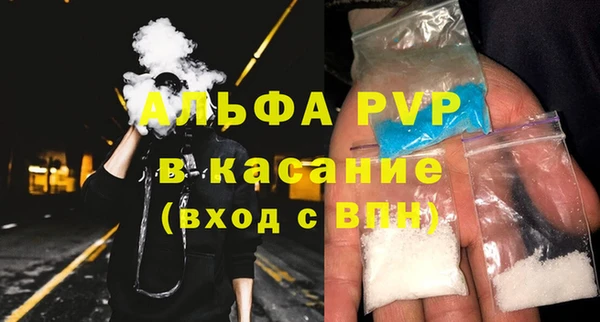 индика Верхний Тагил