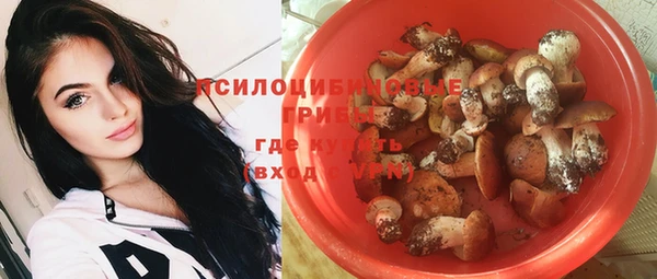 гашик Верхнеуральск