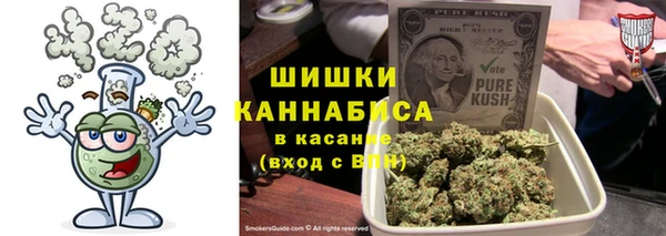 индика Верхний Тагил