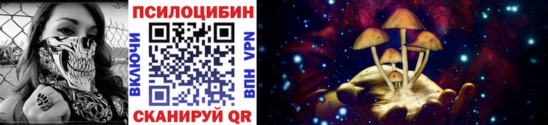 где найти наркотики  Тамбов  Псилоцибиновые грибы прущие грибы 